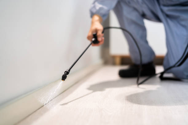 Licensed Cockroach Control service in Goldsby, OK - Nex Pest Control