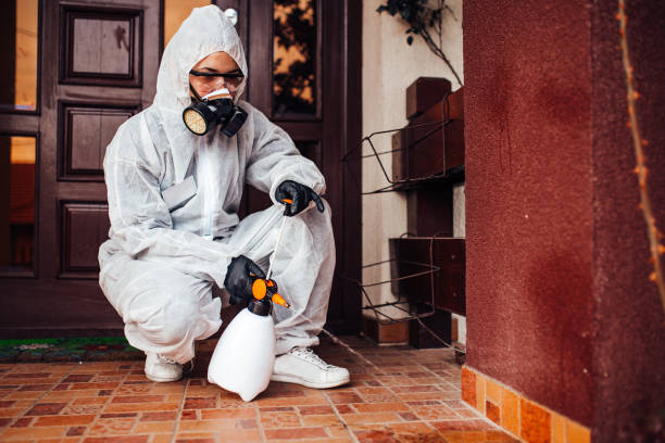 Reliable Cockroach Control contractor in Goldsby, OK by Nex Pest Control