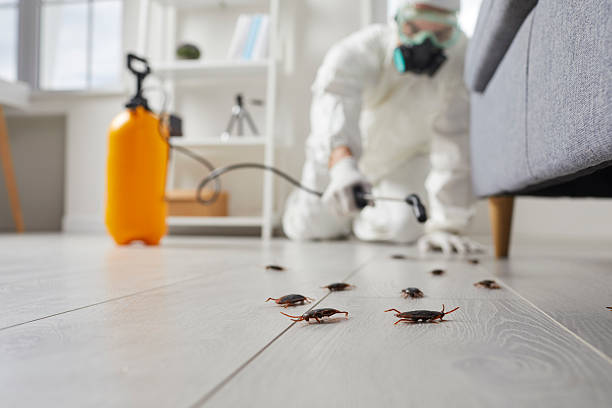Trusted Termite Control service in Goldsby, OK - Nex Pest Control