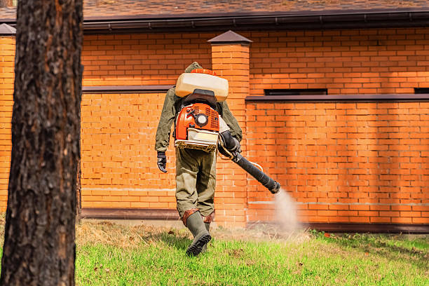 Trusted Ant Control service in Goldsby, OK - Nex Pest Control